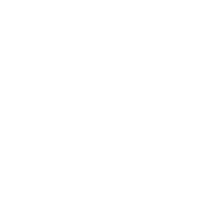 Food Lion